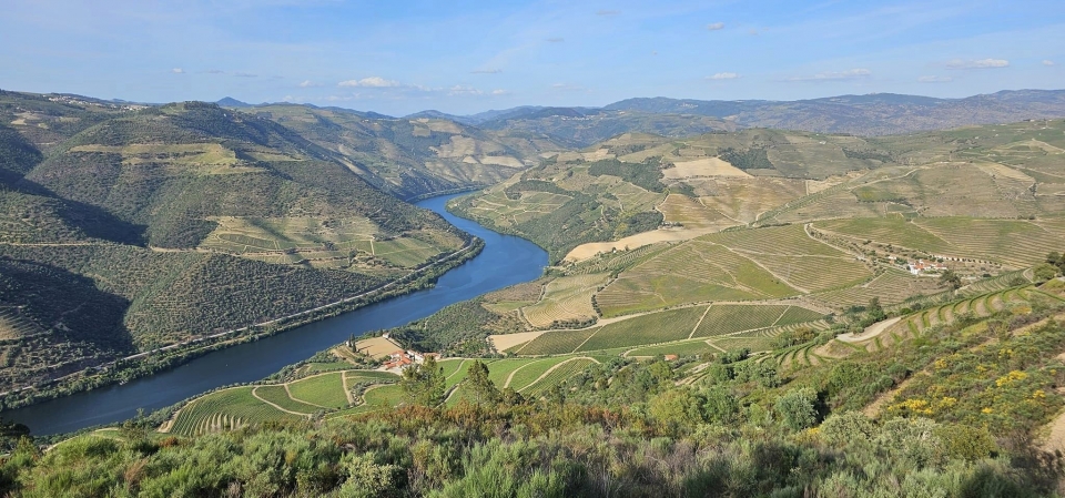 Gala de Encerramento do Douro – Cidade Europeia do Vinho 2023