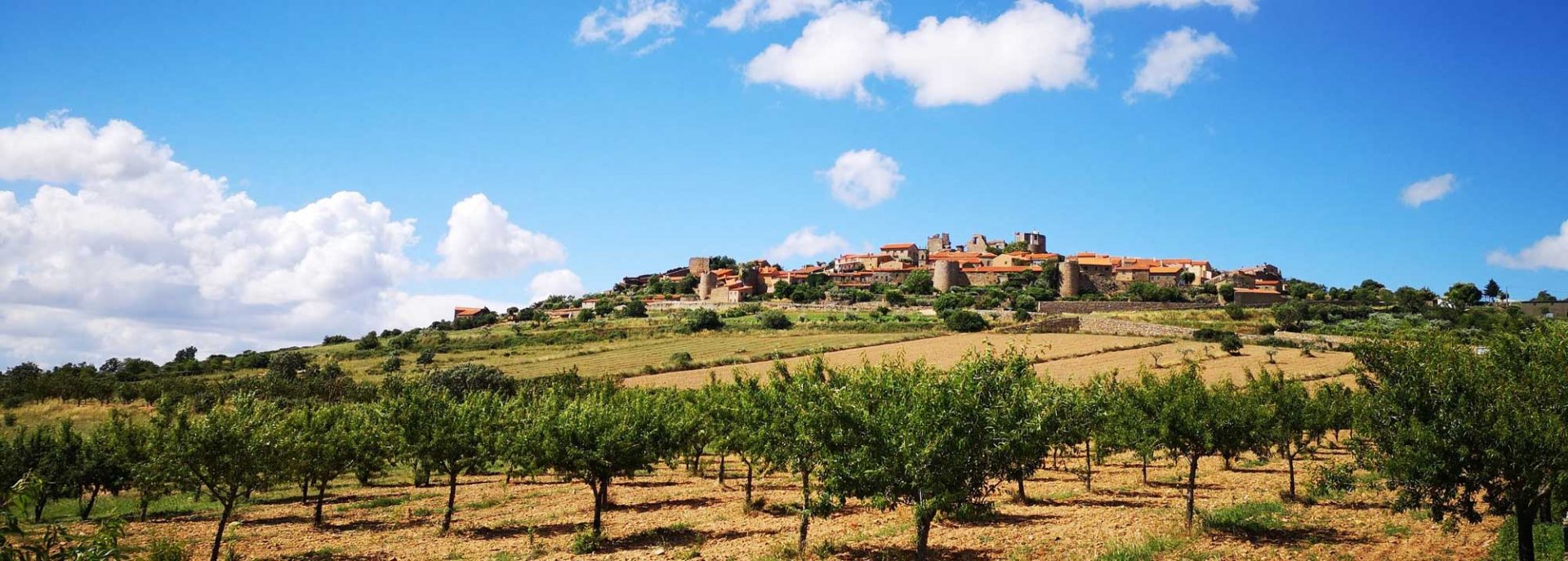 Figueira de Castelo Rodrigo